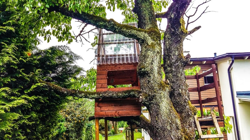 Treehouse Retreats
